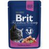Brit Premium Cat kapsa with Salmon & Trout 100g