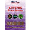 Artemia