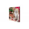 Adventní kalendář pro kočky, 30x34x3,5 cm TRIXIE