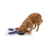 99720 1 dog activity cichaci deka 70 x 70 cm