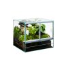 terarium classic 3