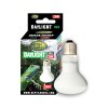 DAYLIGHT 25W BULB