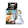 STRONG25W BULB