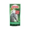 33458 6 pochoutka beaphar catnip bits santa 35g