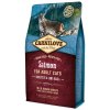 135877 krmivo carnilove adult cats sensitive long hair salmon 2kg
