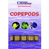 Copepods