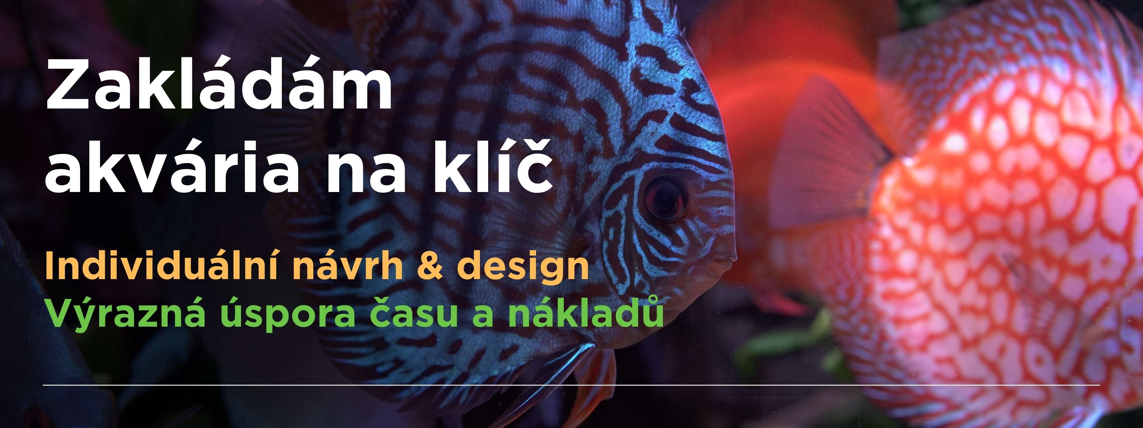 Zakládám akvária na klíč