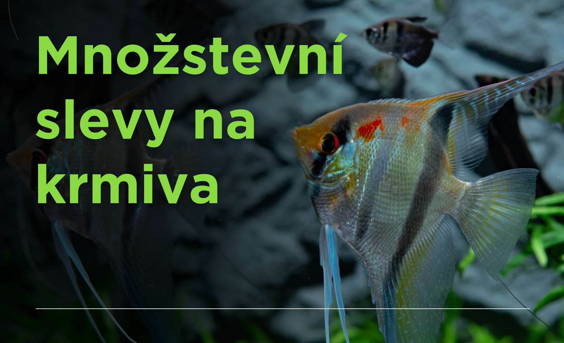 Množstevní slevy na krmiva