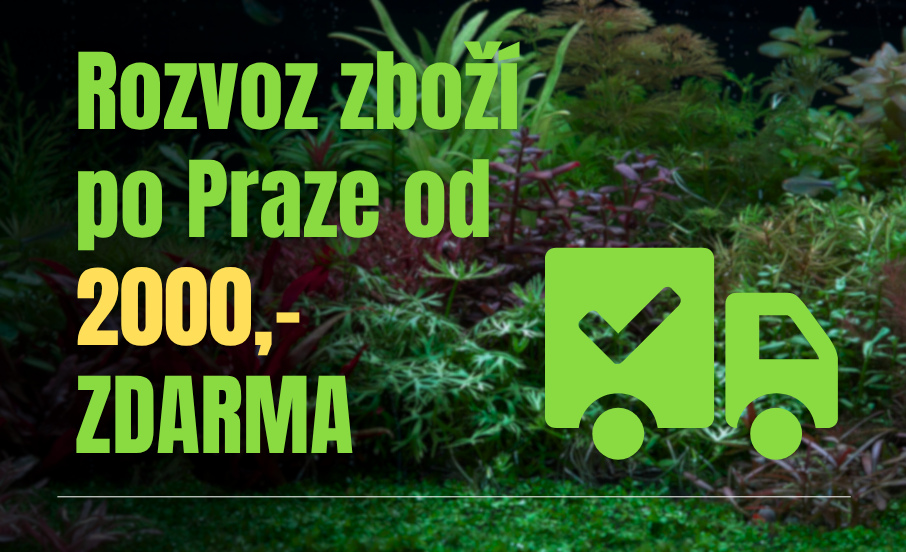 Rozvoz zboží po Praze od 2000 Zdarma