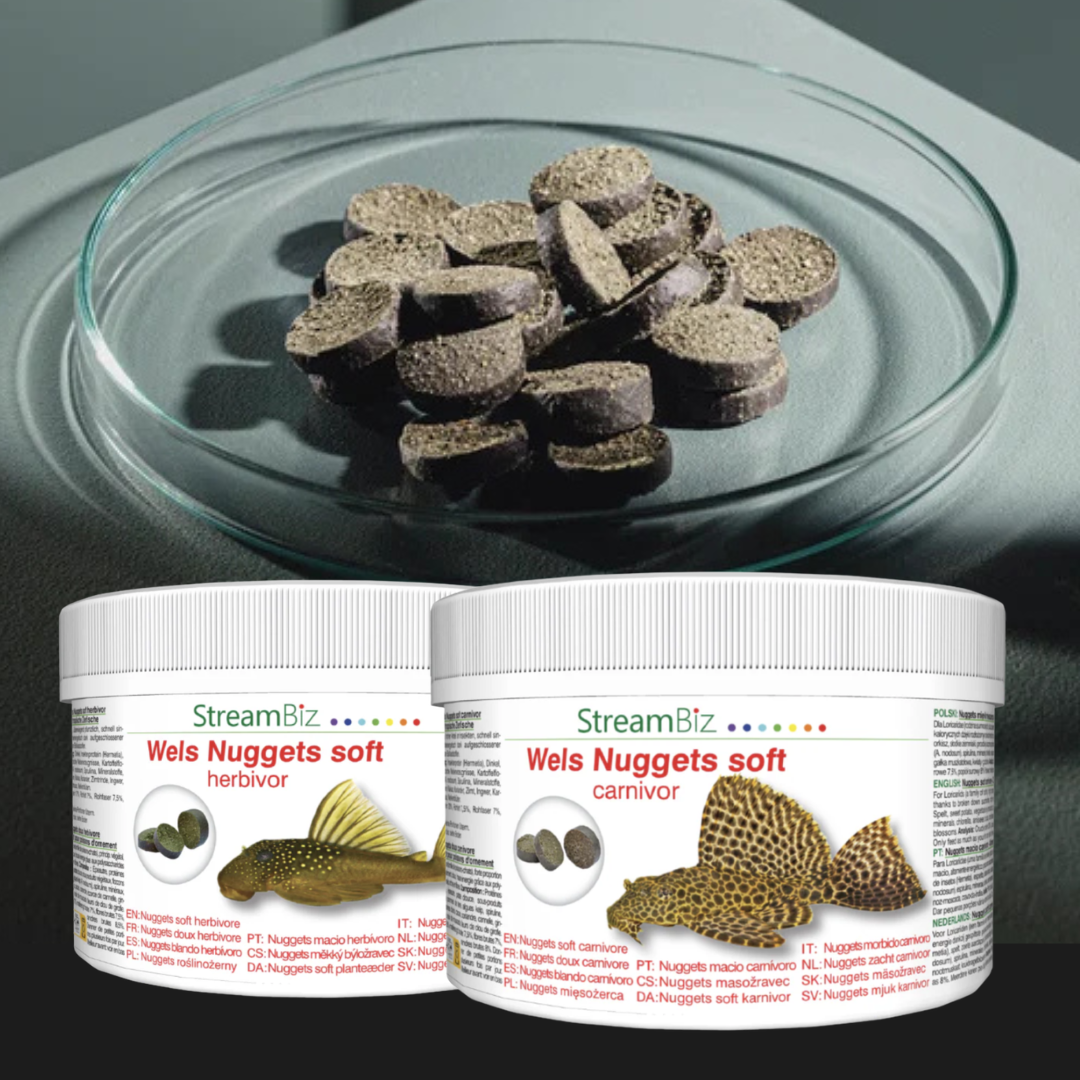 Set StreamBiz Pleco Nuggets pro krunýřovce