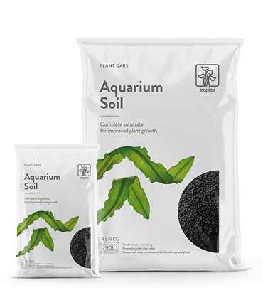 soil