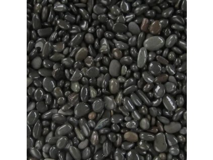 10704 1 01 n5nj200101