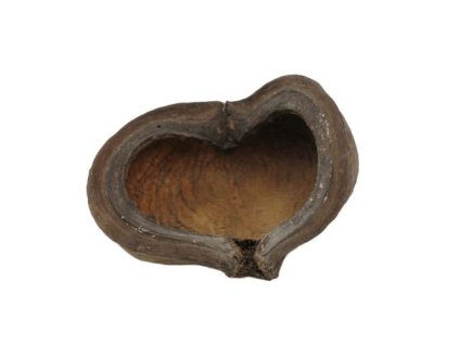 10968 01 19903 20plody 20thelambu 1