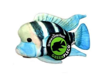 10995 01 19920 20ply c5 a1 c3 a1k 20frontosa 20cichlid 1