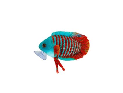 01 19937%20Ply%C5%A1%C3%A1k%20Gourami 1