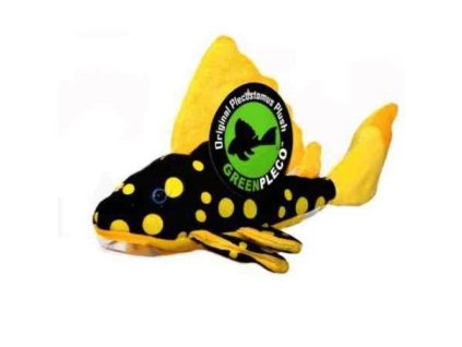 01 19915%20Ply%C5%A1%C3%A1k%20Sunshine%20pleco 1