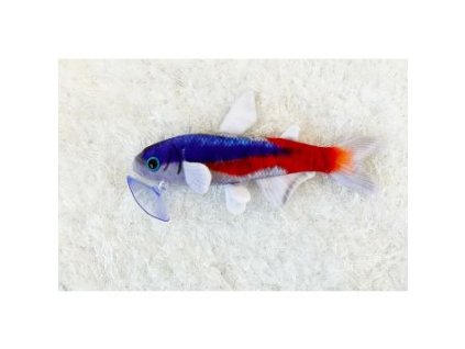 01 19947%20Ply%C5%A1%C3%A1k%20Tetra 1