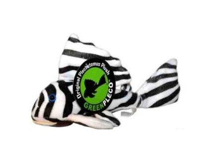 11055 1 01 xnqi200101