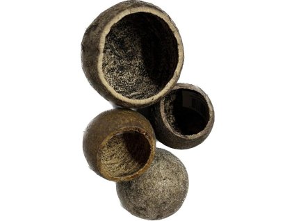 11547 1 04 xcaj200101