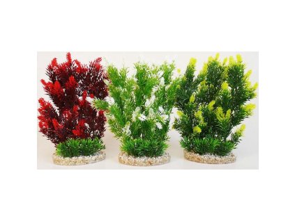 11685 1 01 40k0000101