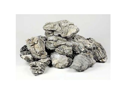 12177 1 02 1iq0000101