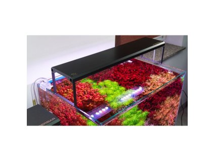 12186 pictureprovider aspx z 900 format jpeg path 58183 2f02 vs2k200101