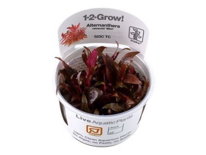 13830 1 pictureprovider aspx z 900 format jpeg path 52207 2f33 7spk000101