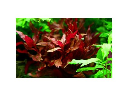 13833 1 01 3t21100101