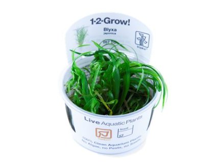 13857 1 pictureprovider aspx z 900 format jpeg path 53429 2f02 6s6b100101