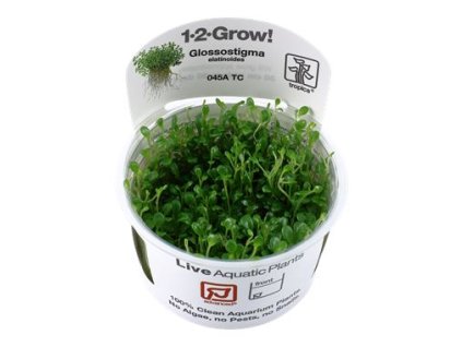 13947 1 pictureprovider aspx z 900 format jpeg path 52181 2f26 9sqk000101