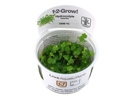 13974 2 pictureprovider aspx z 900 format jpeg path 52203 2f37 hsqk000101