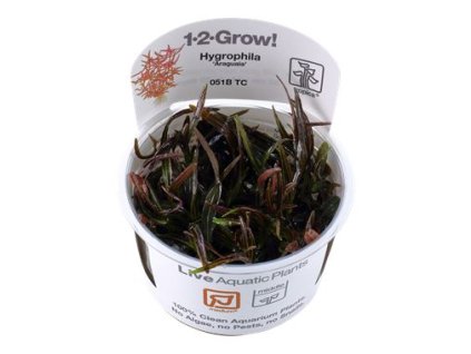 13977 1 pictureprovider aspx z 900 format jpeg path 52277 2f36 jsqk000101