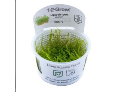 13998 1 pictureprovider aspx z 900 format jpeg path 54712 2f13 ymai200101