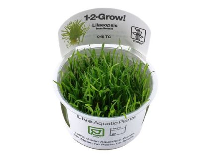 14001 1 pictureprovider aspx z 900 format jpeg path 53031 2f02 7uig000101