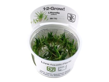 14007 1 pictureprovider aspx z 900 format jpeg path 52317 2f28 tsqk000101