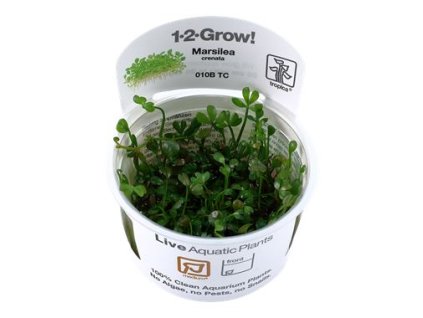 14016 1 pictureprovider aspx z 900 format jpeg path 52882 2f23 xsqk000101