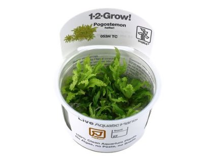 14055 1 pictureprovider aspx z 900 format jpeg path 52279 2f43 atqk000101