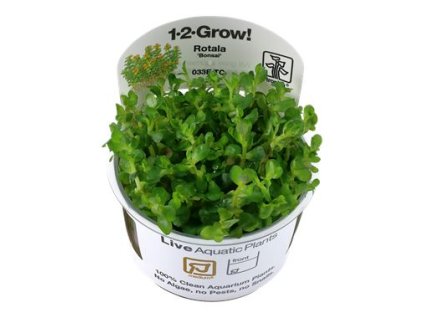 14082 1 pictureprovider aspx z 900 format jpeg path 52339 2f31 gtqk000101