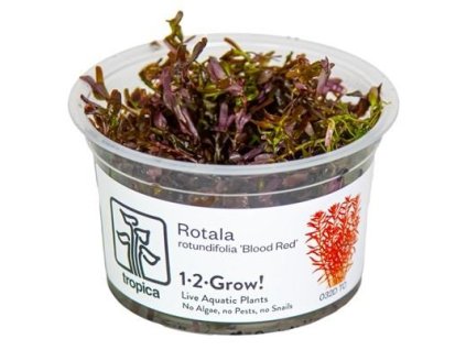 14091 1 pictureprovider aspx z 900 format jpeg path 57391 2f28 xsuj200101