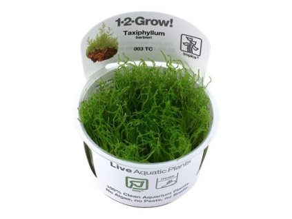 14151 1 pictureprovider aspx z 900 format jpeg path 52157 2f11 ytqk000101