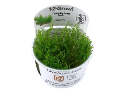 14154 1 pictureprovider aspx z 900 format jpeg path 52206 2f15 stqk000101