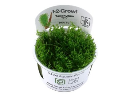 14157 1 pictureprovider aspx z 900 format jpeg path 52152 2f09 wtqk000101