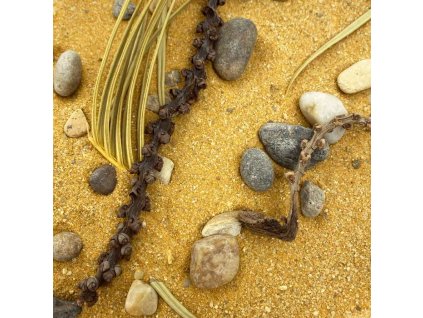 15527 2 15m52301 2 1920x1920