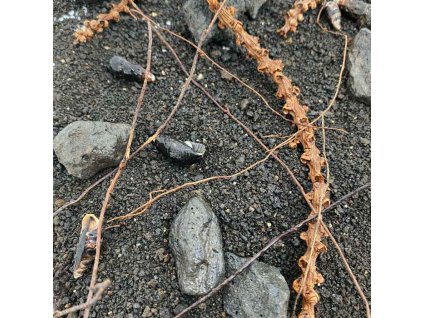 15533 2 15m52303 2 1920x1920