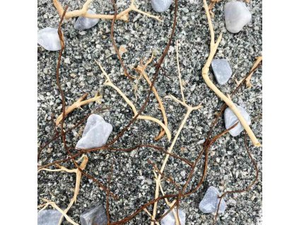 15539 2 15m52305 2 1920x1920