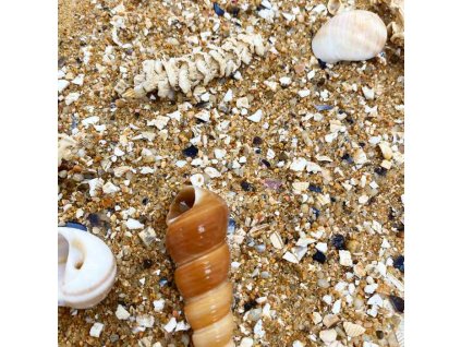 15545 2 15m52307 2 1920x1920