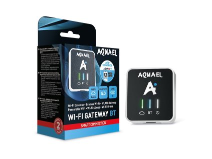 16529 002 ynak200101