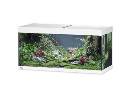 4962 1 01 6e01000101