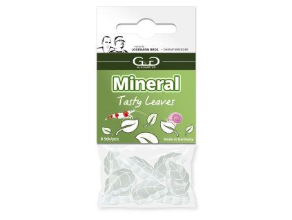 21g27407