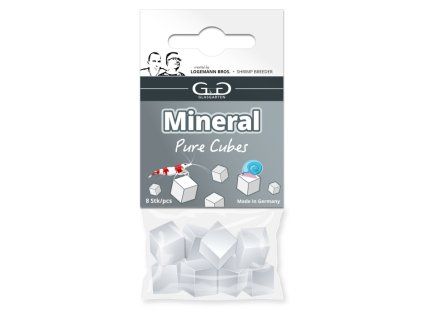 21g27404